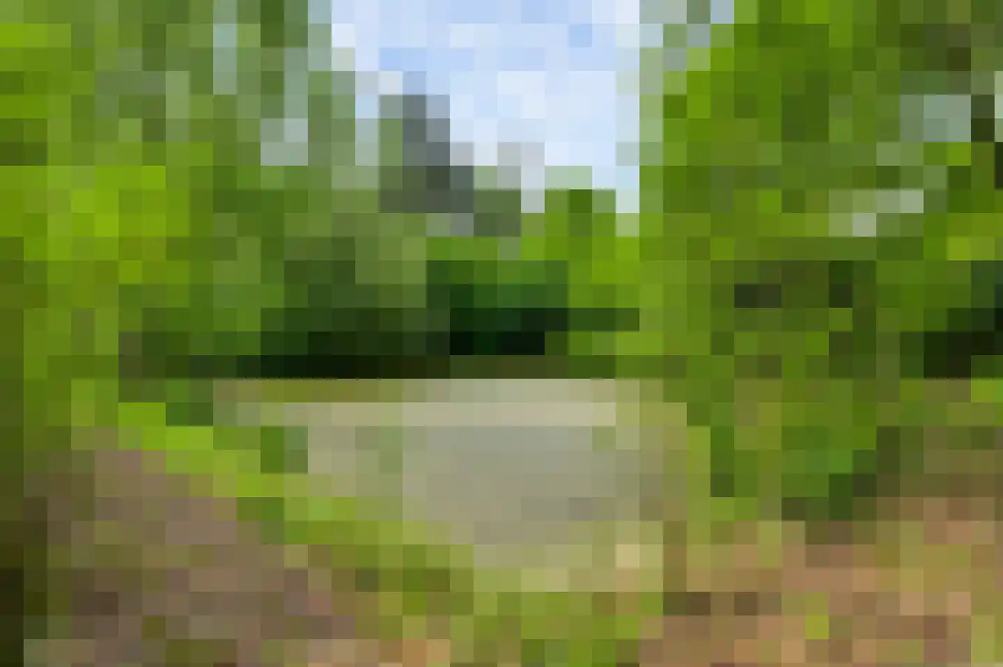 Veld-Oostenrijk 12 Horst thumbnail 72
