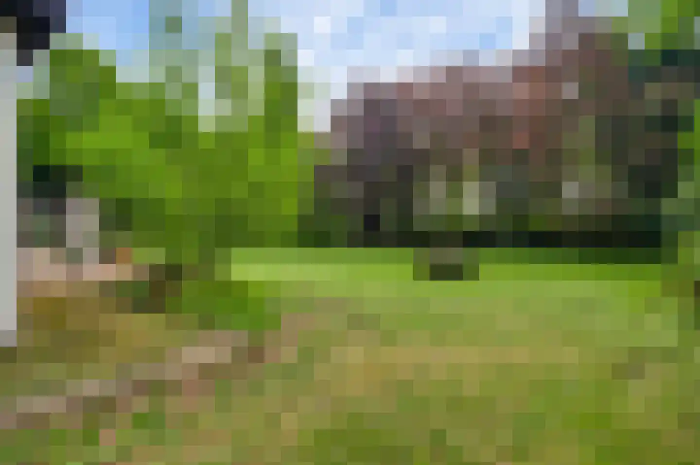 Veld-Oostenrijk 12 Horst thumbnail 73
