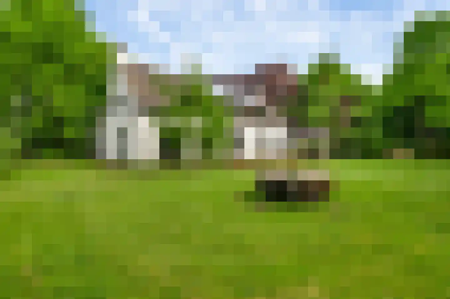 Veld-Oostenrijk 12 Horst thumbnail 74
