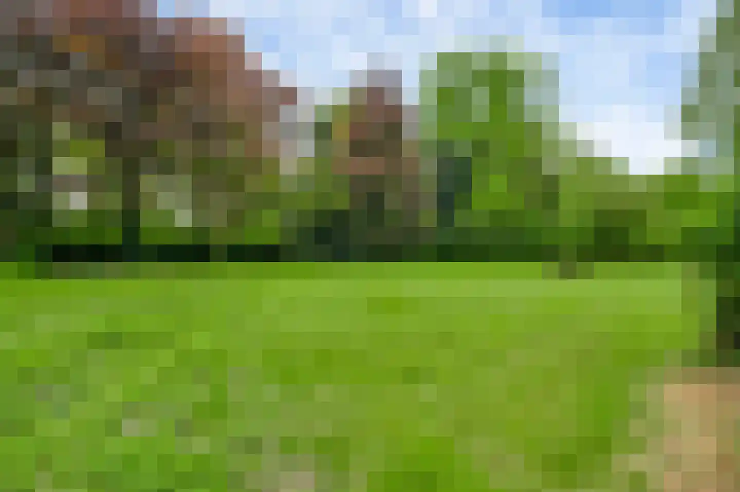 Veld-Oostenrijk 12 Horst thumbnail 77