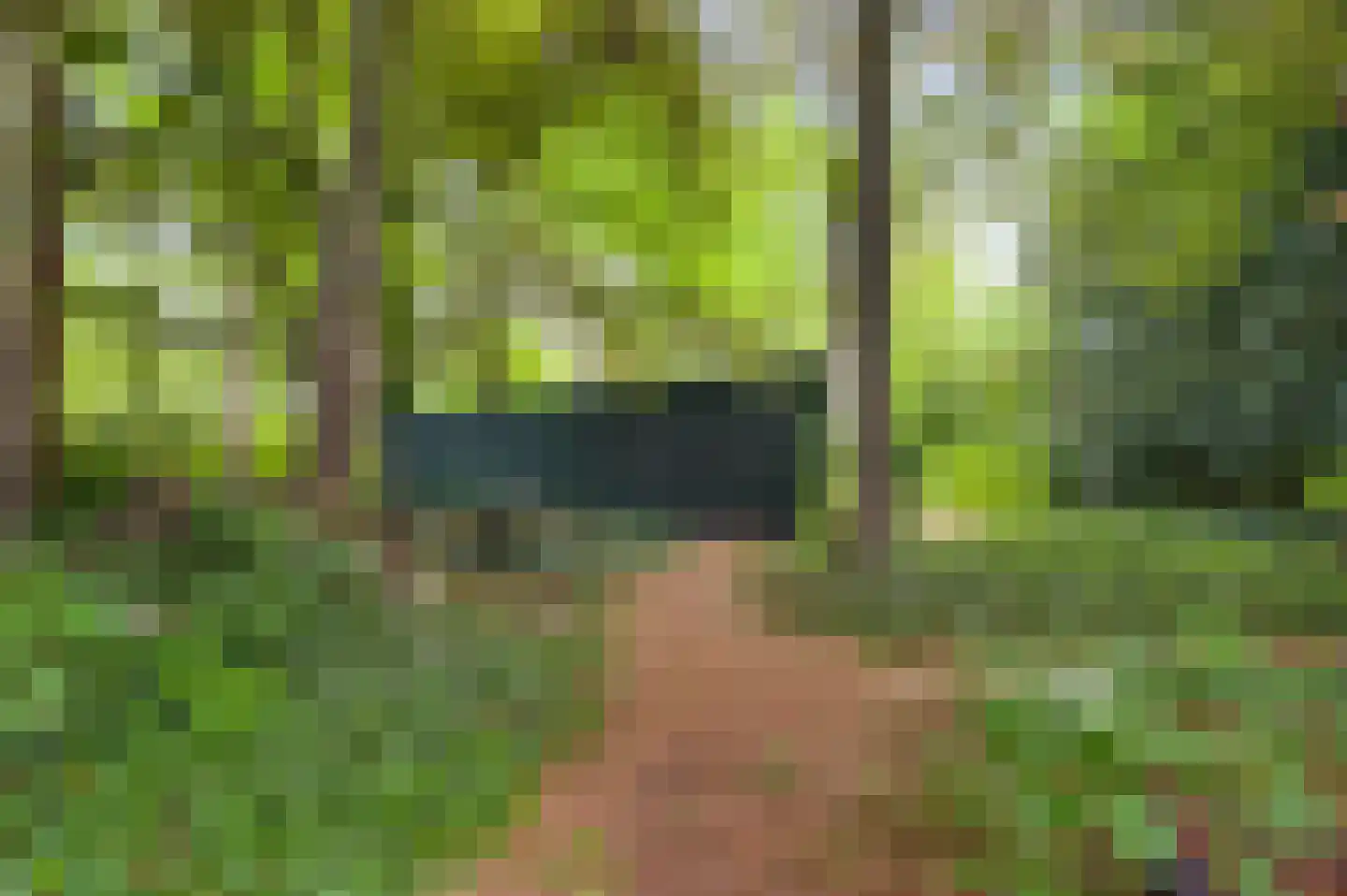 Veld-Oostenrijk 12 Horst thumbnail 79