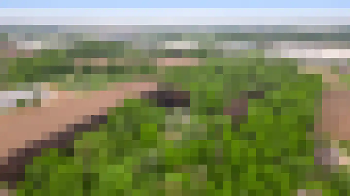 Veld-Oostenrijk 12 Horst thumbnail 8