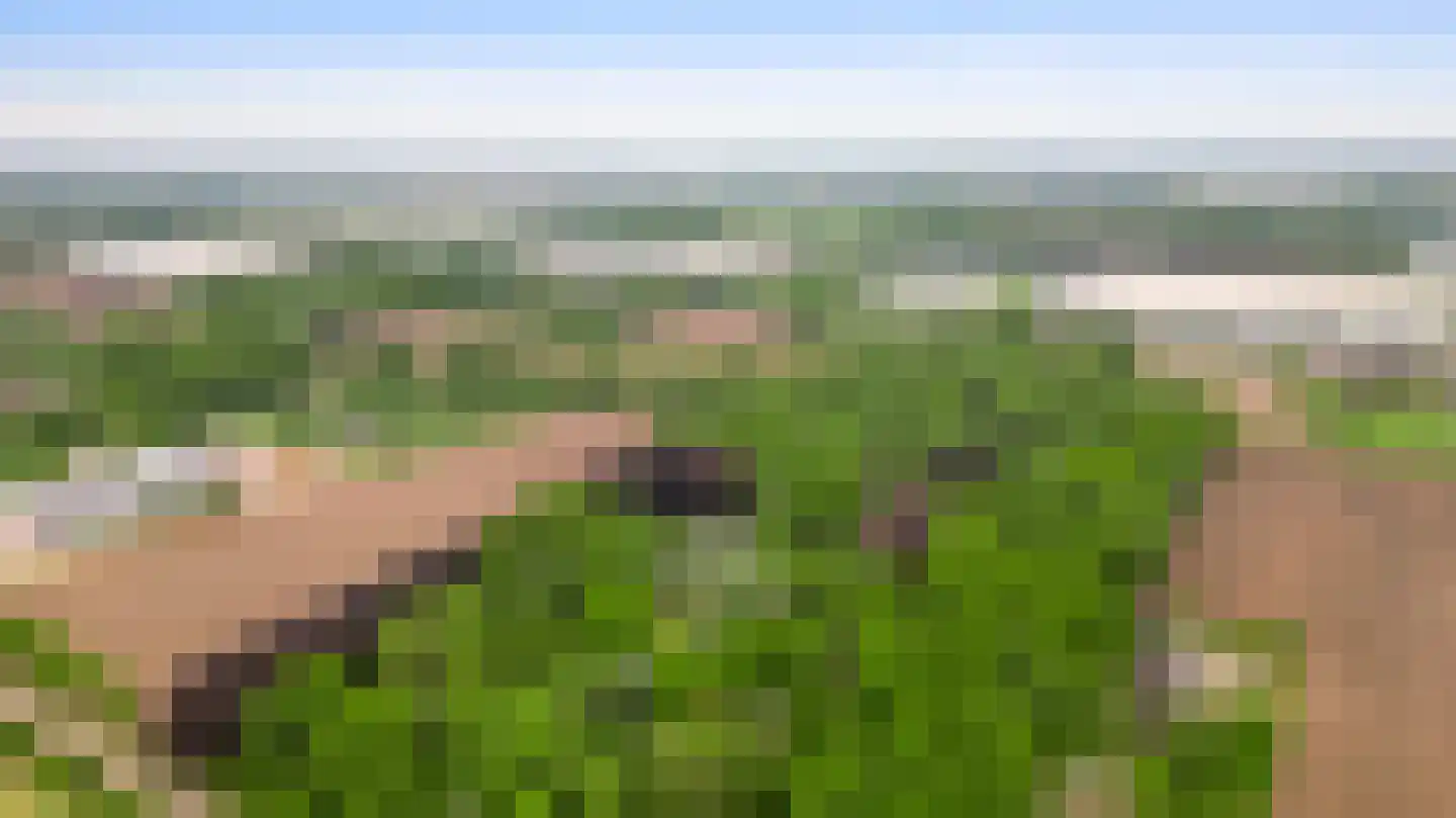 Veld-Oostenrijk 12 Horst thumbnail 9