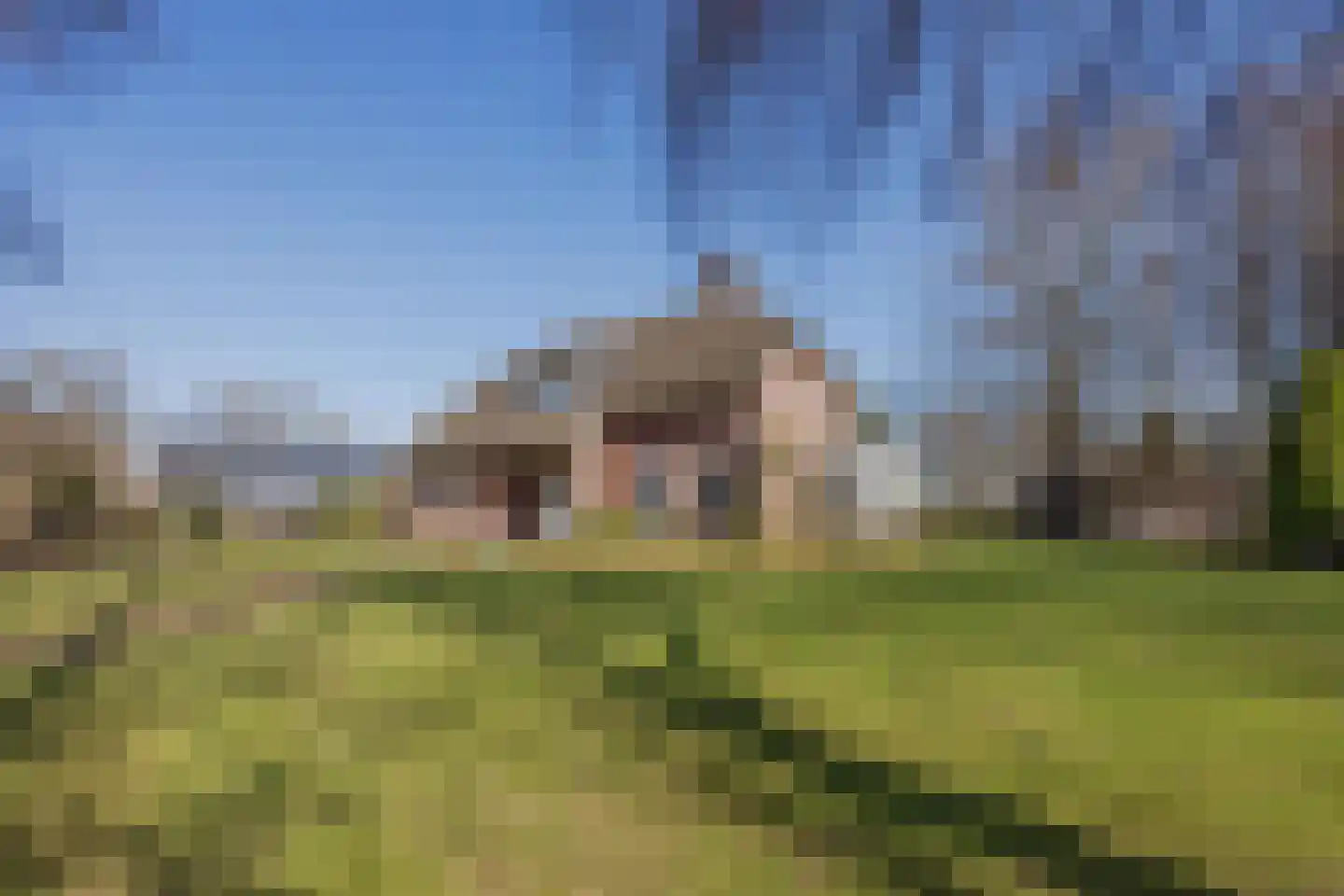 Veld-Oostenrijk 28 Horst