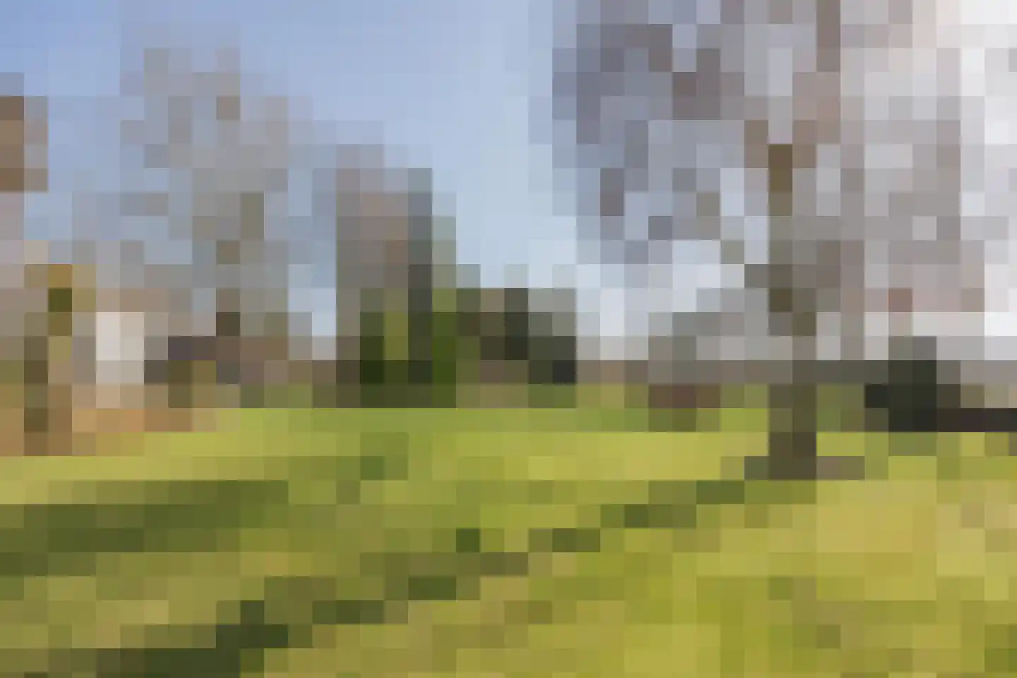 Veld-Oostenrijk 28 Horst thumbnail 4