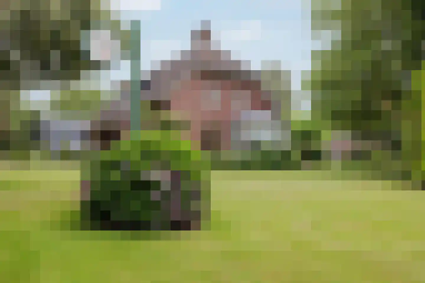 Veld-Oostenrijk 28 Horst thumbnail 4