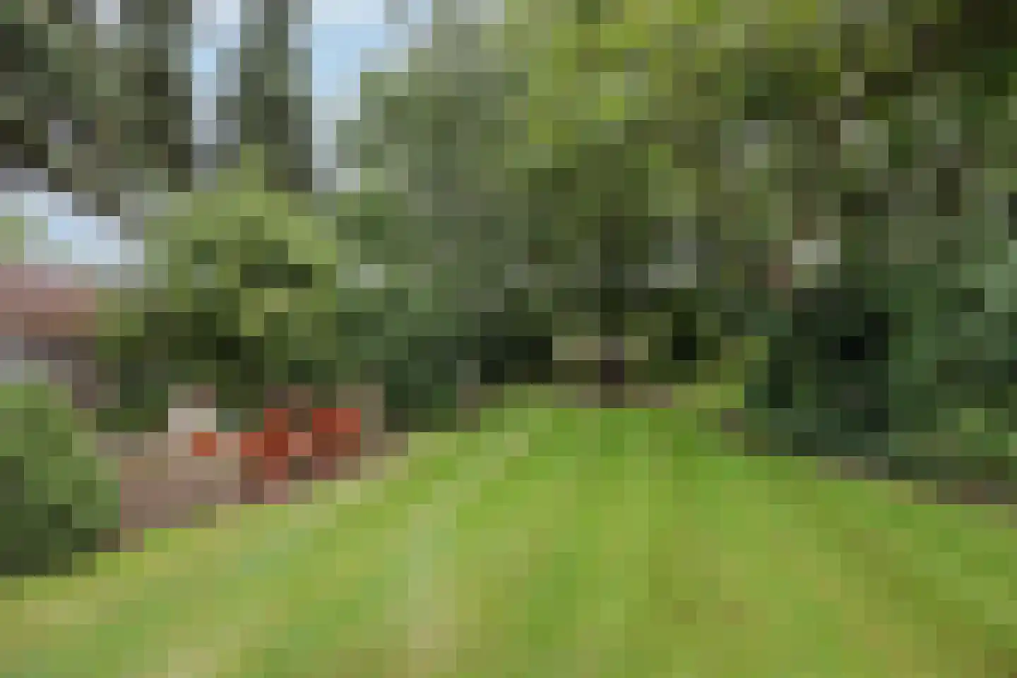 Veld-Oostenrijk 28 Horst thumbnail 44