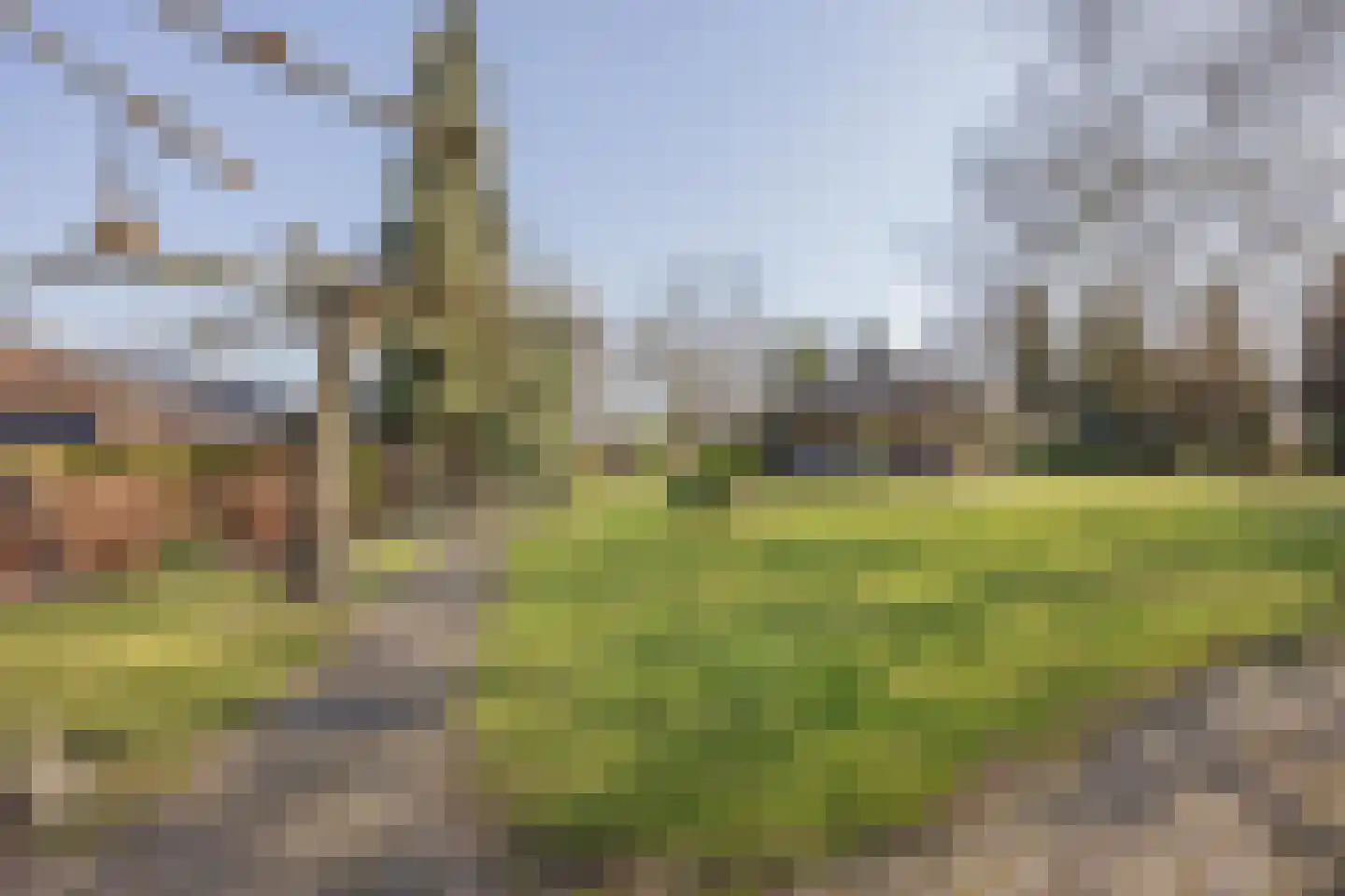Veld-Oostenrijk 28 Horst thumbnail 44