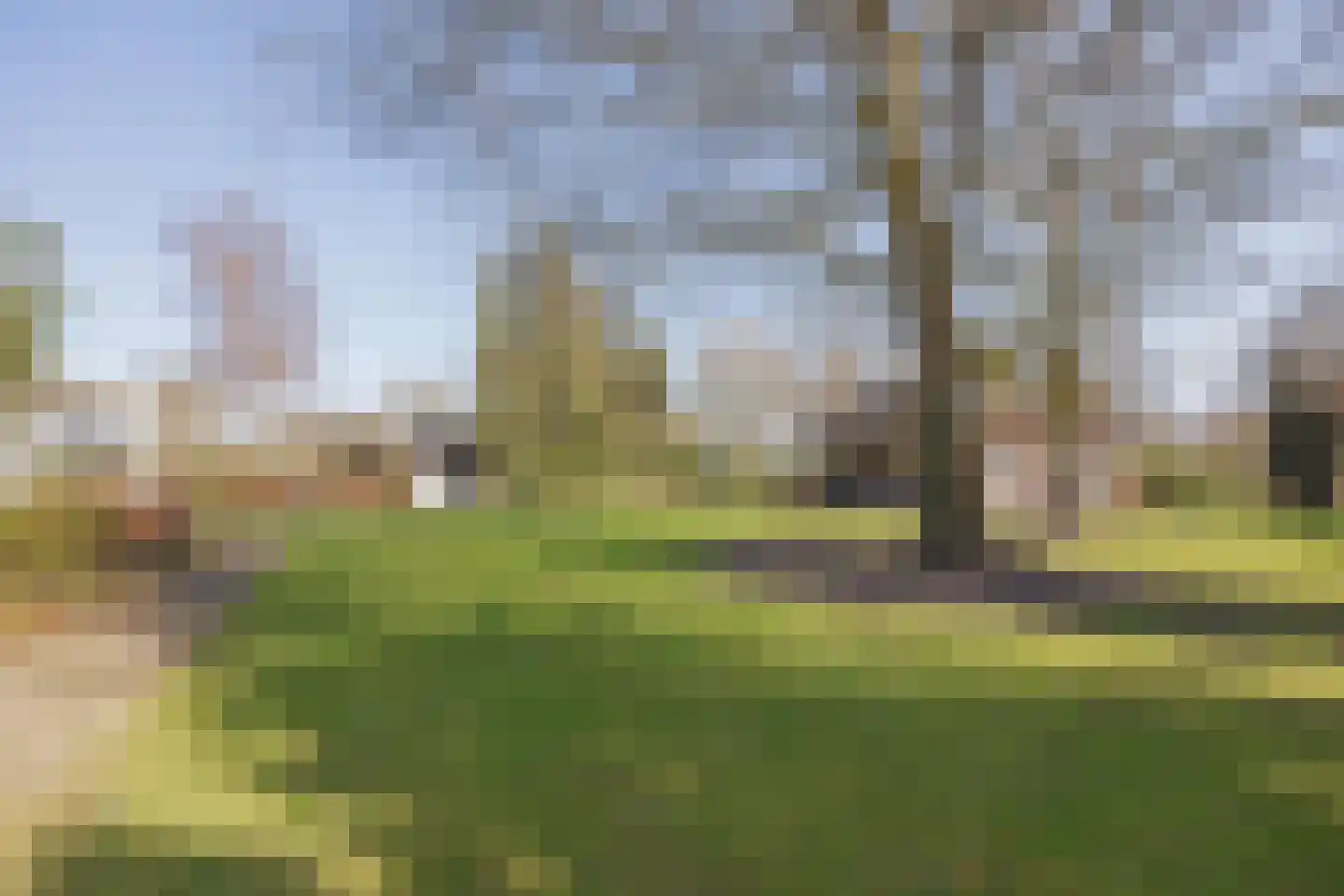 Veld-Oostenrijk 28 Horst thumbnail 45