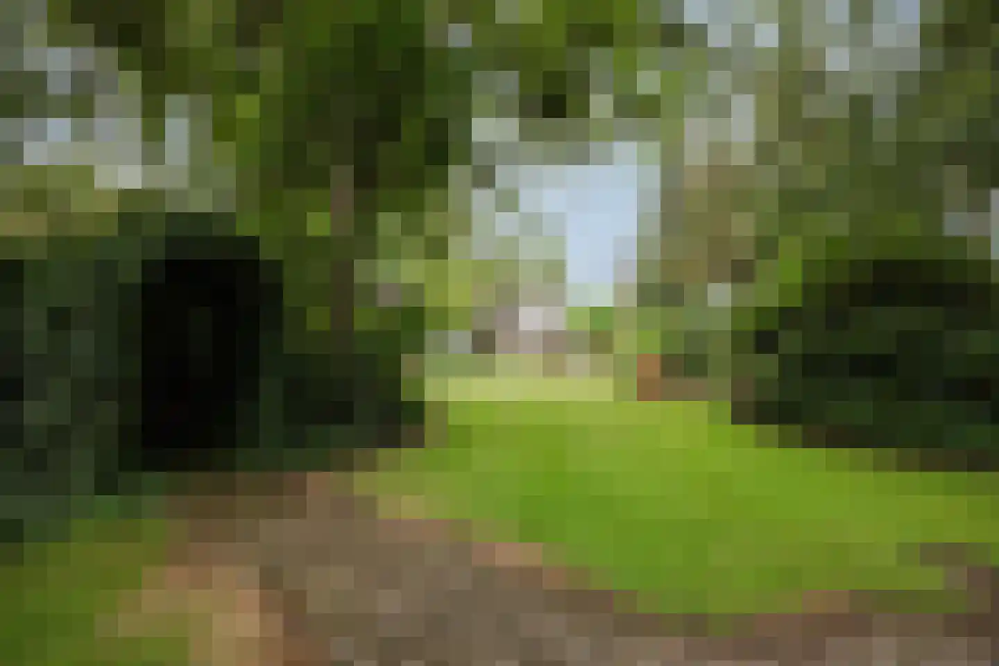 Veld-Oostenrijk 28 Horst thumbnail 45
