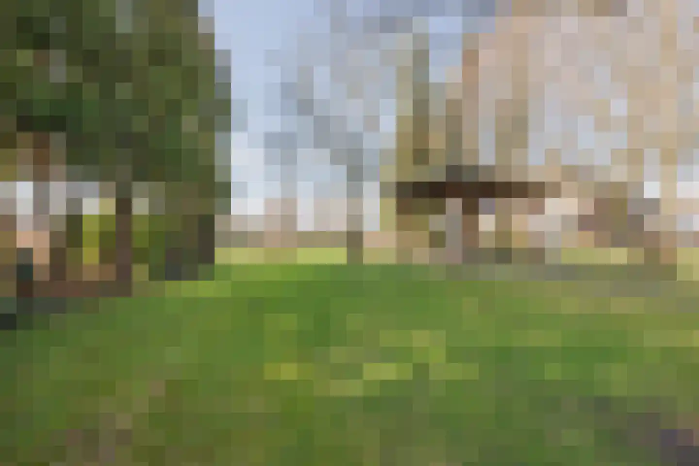 Veld-Oostenrijk 28 Horst thumbnail 46