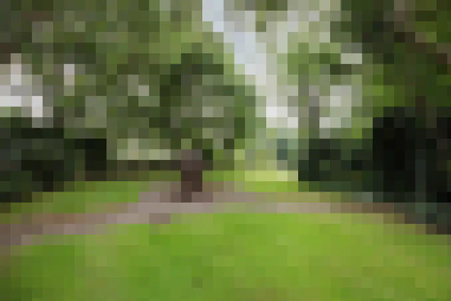 Veld-Oostenrijk 28 Horst thumbnail 46