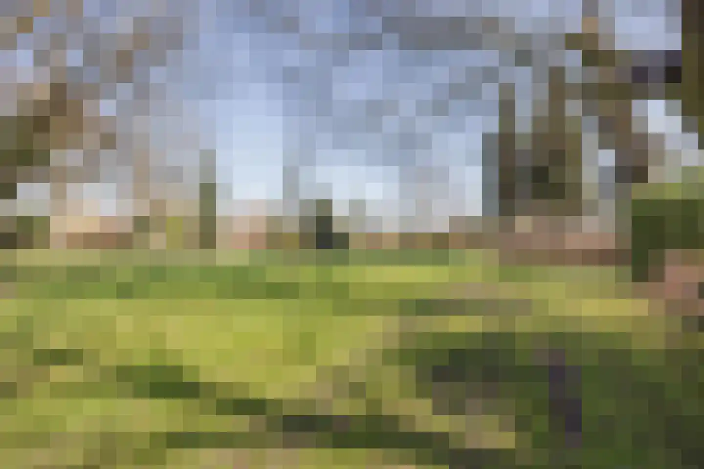 Veld-Oostenrijk 28 Horst thumbnail 47