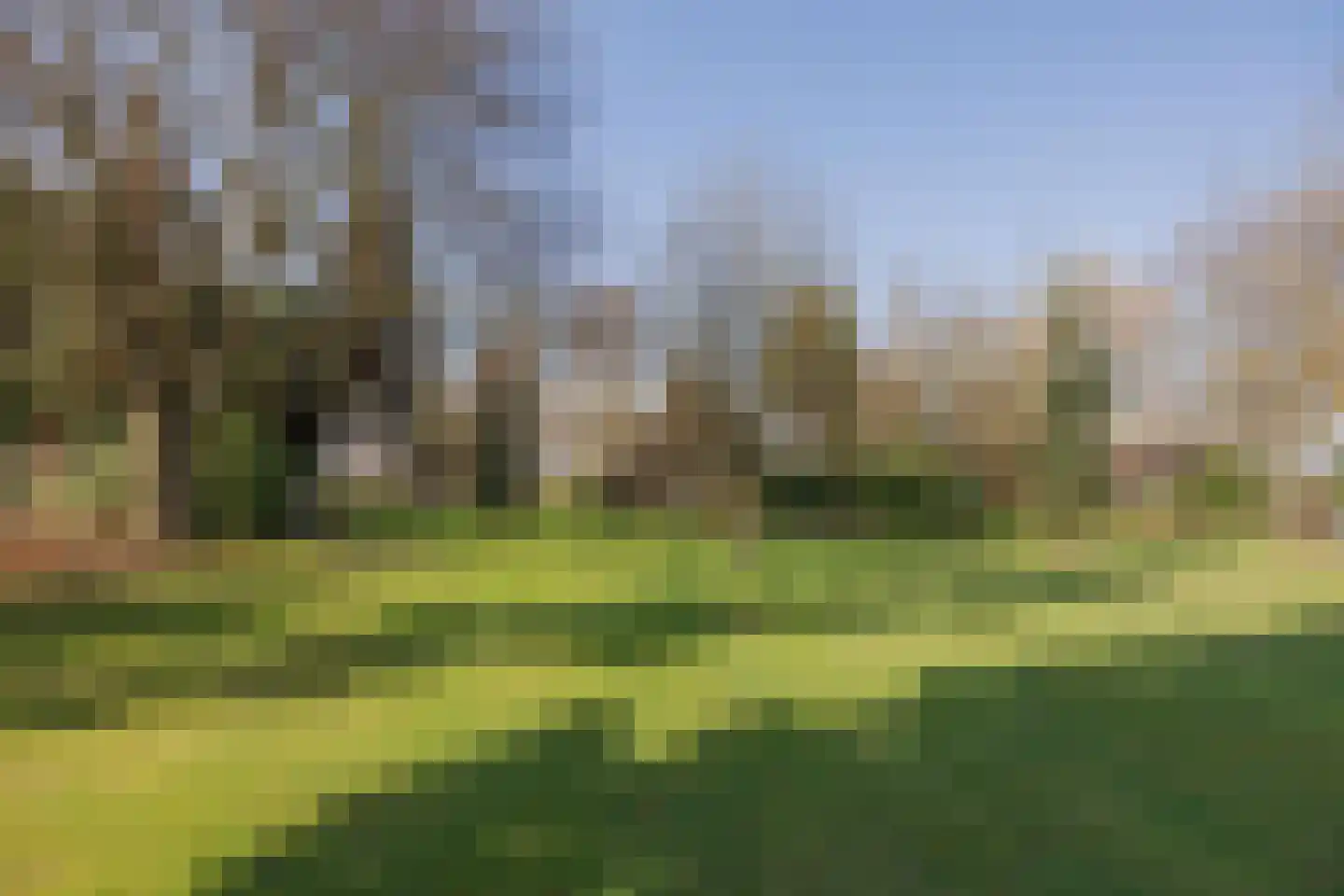 Veld-Oostenrijk 28 Horst thumbnail 48