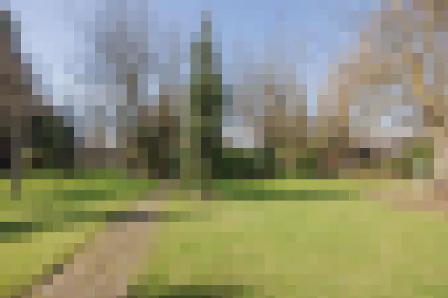 Veld-Oostenrijk 28 Horst thumbnail 49