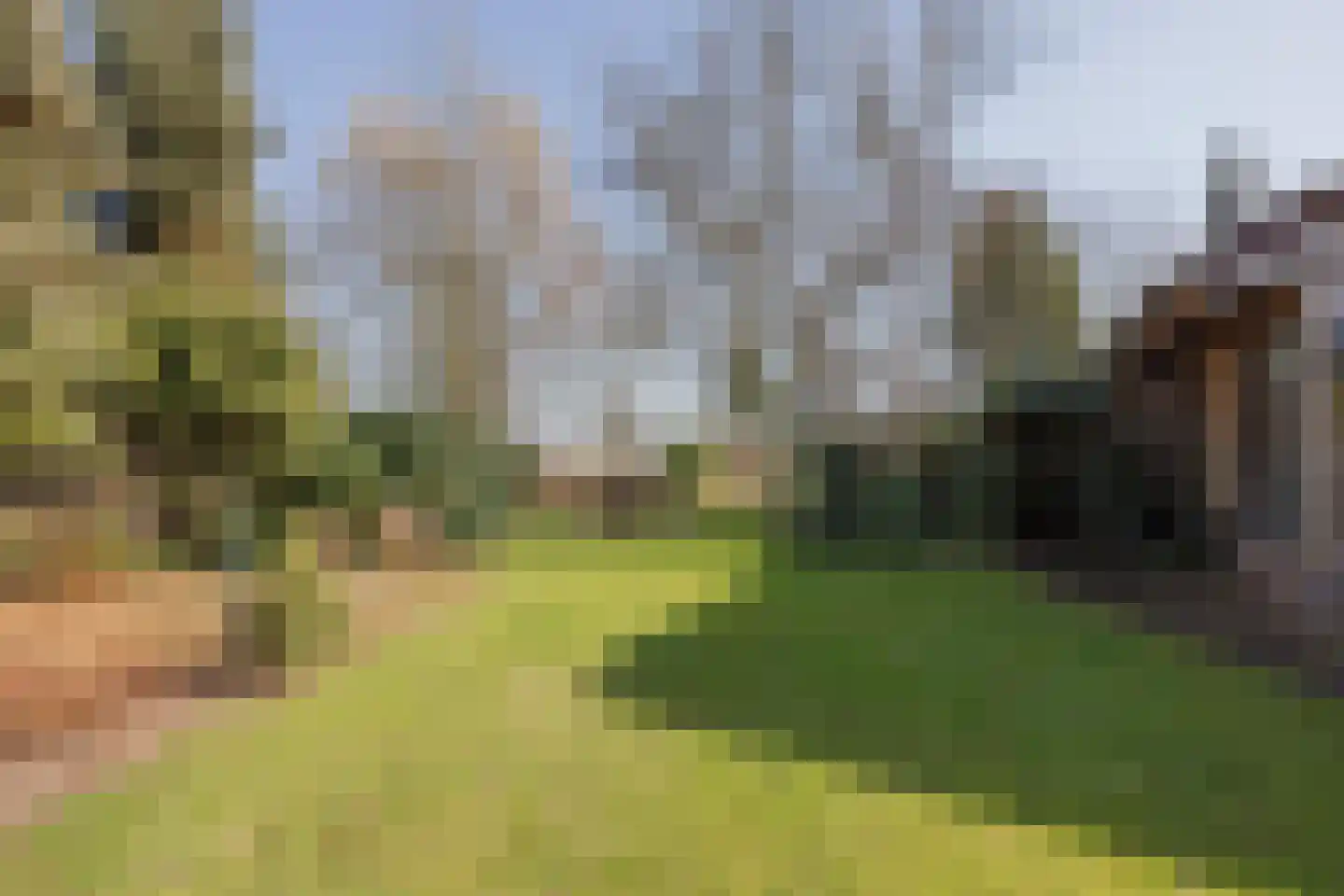 Veld-Oostenrijk 28 Horst thumbnail 50