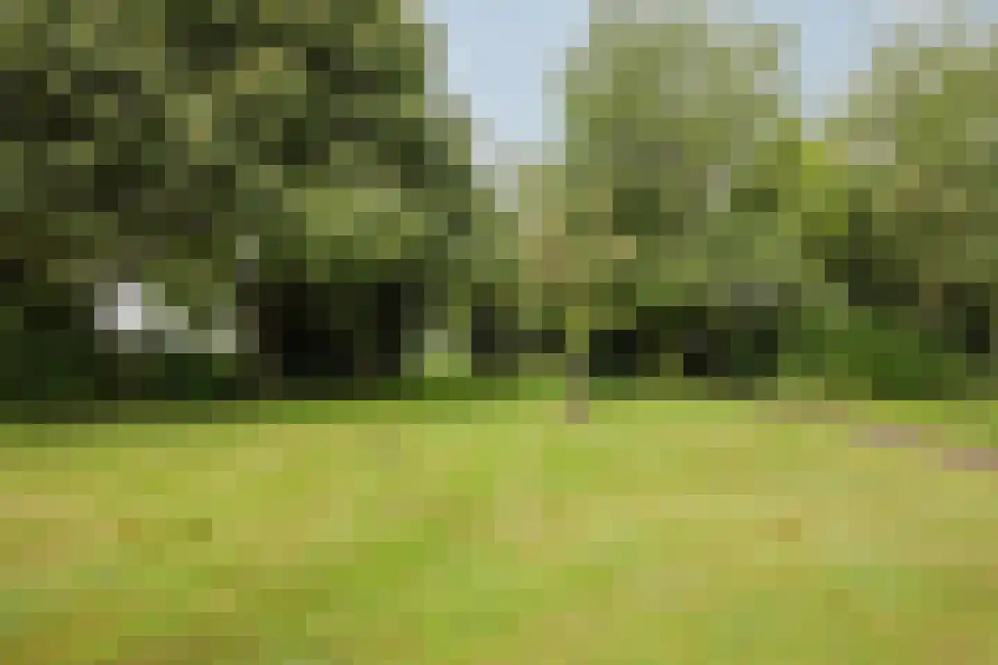 Veld-Oostenrijk 28 Horst thumbnail 53