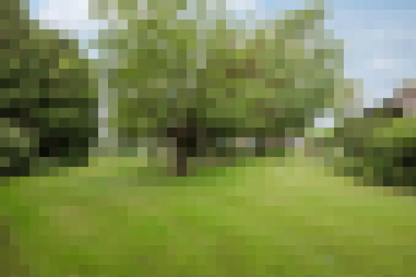 Veld-Oostenrijk 28 Horst thumbnail 54