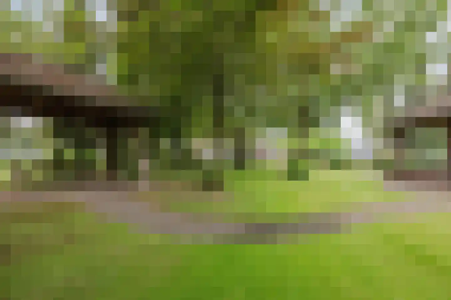 Veld-Oostenrijk 28 Horst thumbnail 55