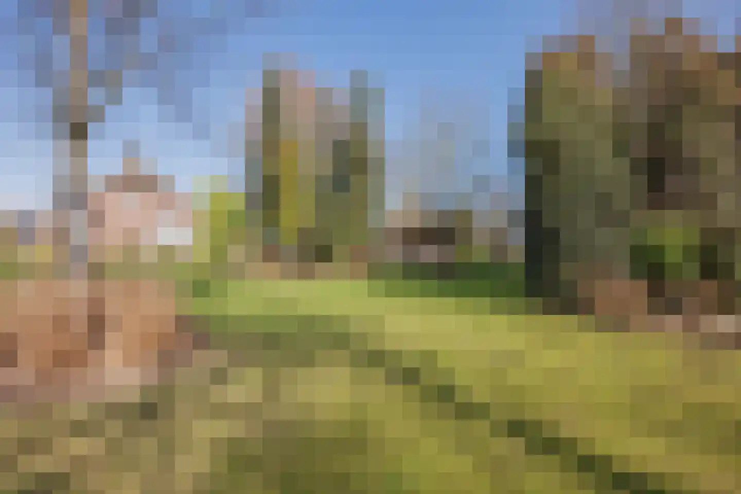 Veld-Oostenrijk 28 Horst thumbnail 57