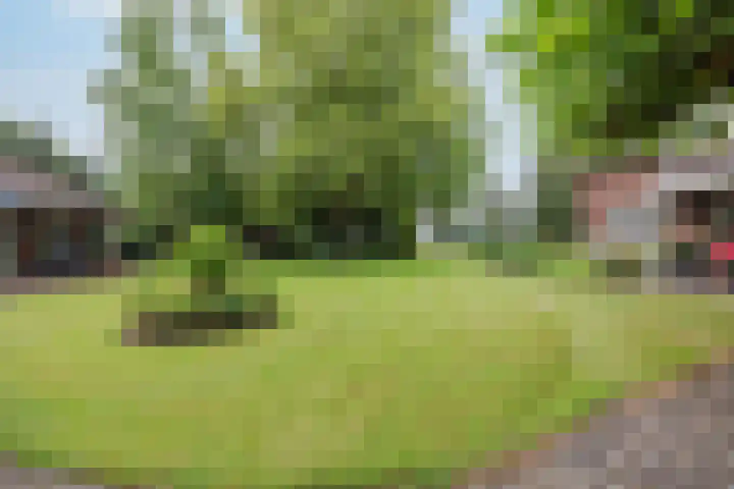 Veld-Oostenrijk 28 Horst thumbnail 57