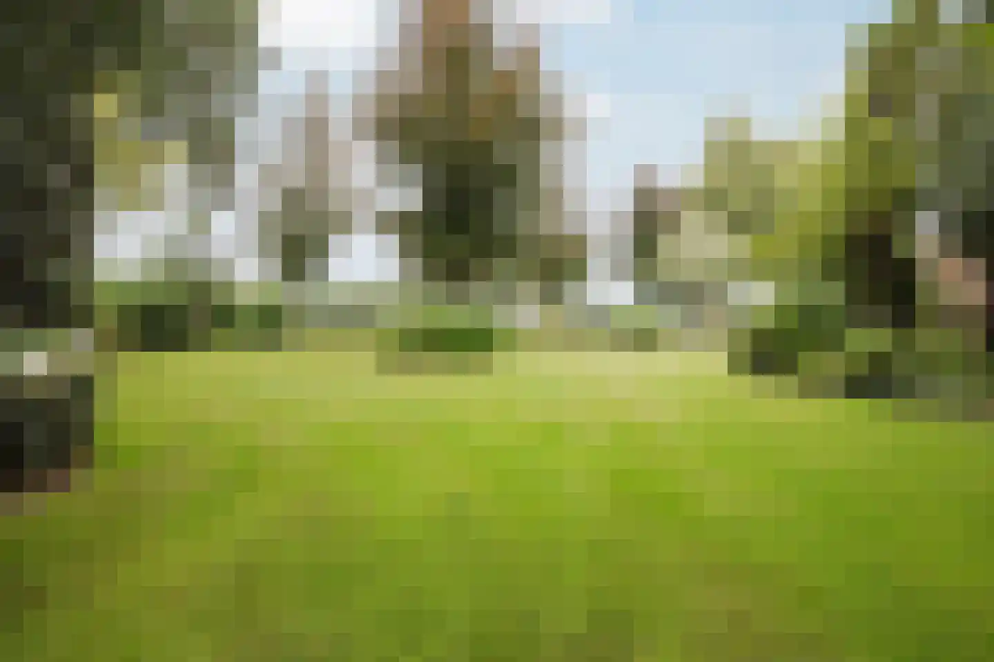 Veld-Oostenrijk 28 Horst thumbnail 60