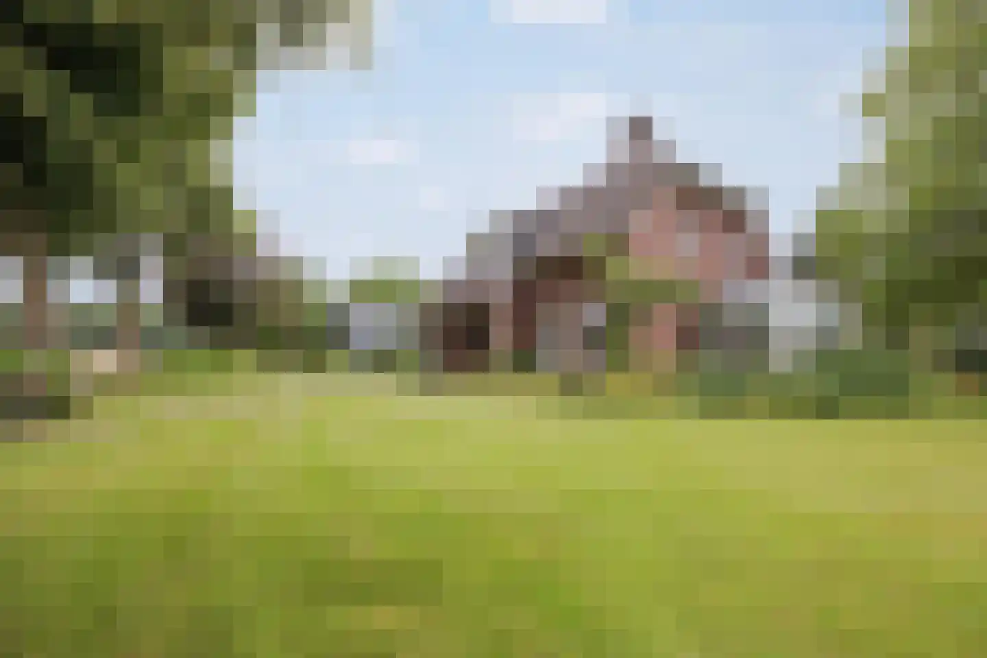 Veld-Oostenrijk 28 Horst thumbnail 62