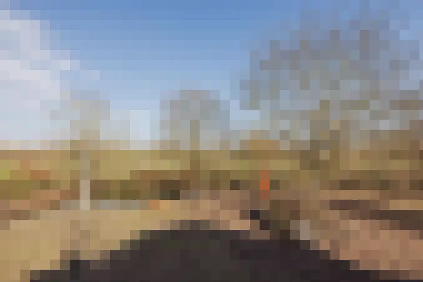 Veld-Oostenrijk 28 Horst thumbnail 77