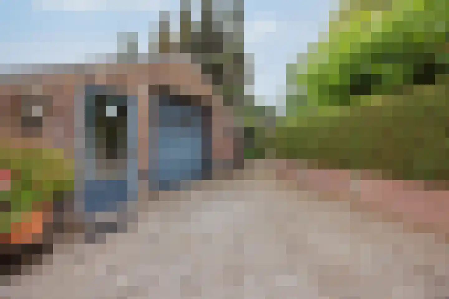 Veld-Oostenrijk 28 Horst thumbnail 83