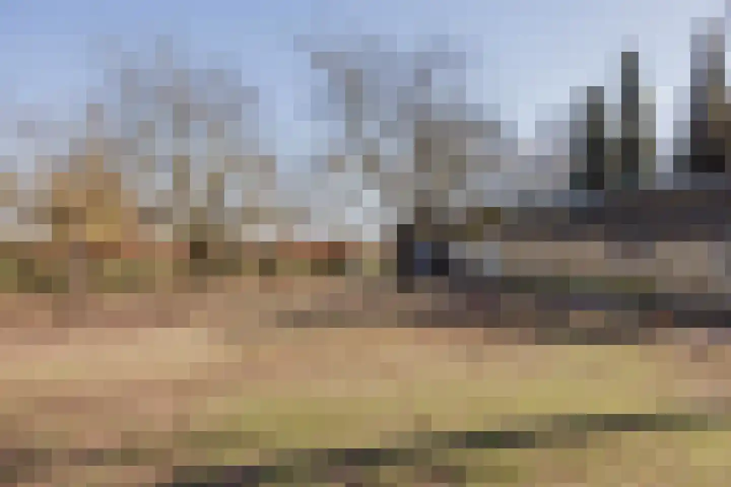 Veld-Oostenrijk 28 Horst thumbnail 86