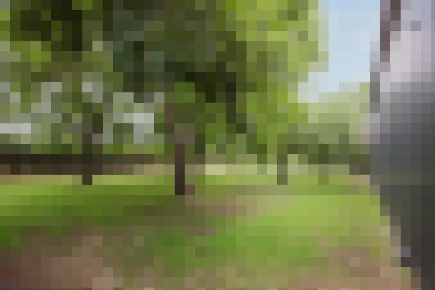 Veld-Oostenrijk 28 Horst thumbnail 87