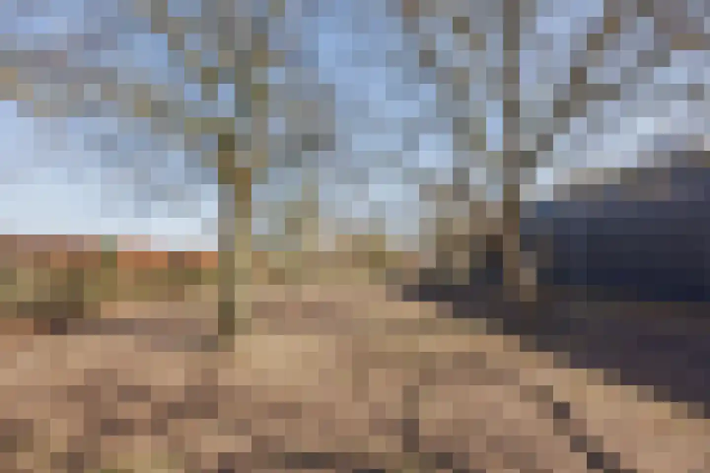 Veld-Oostenrijk 28 Horst thumbnail 87