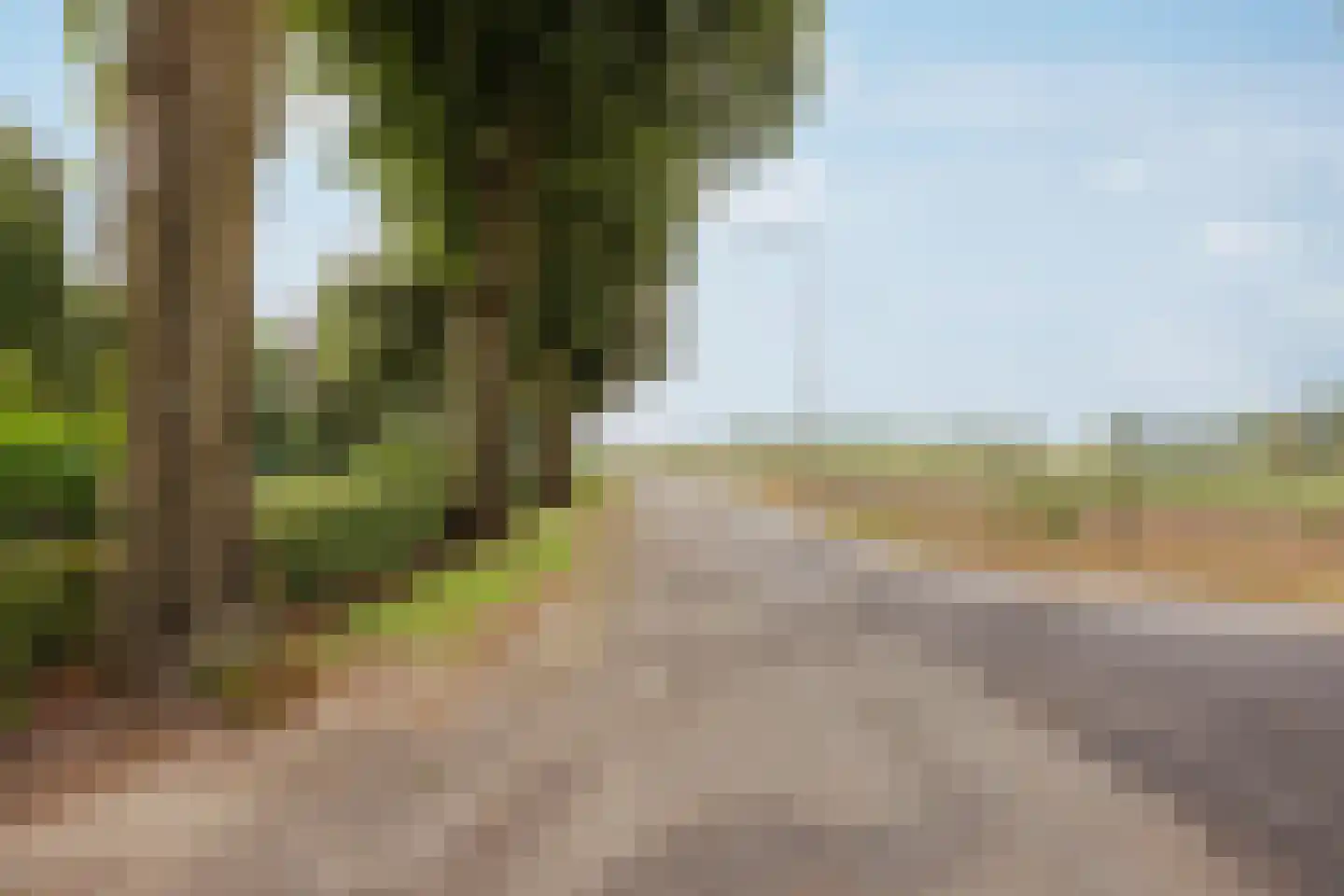 Veld-Oostenrijk 28 Horst thumbnail 92
