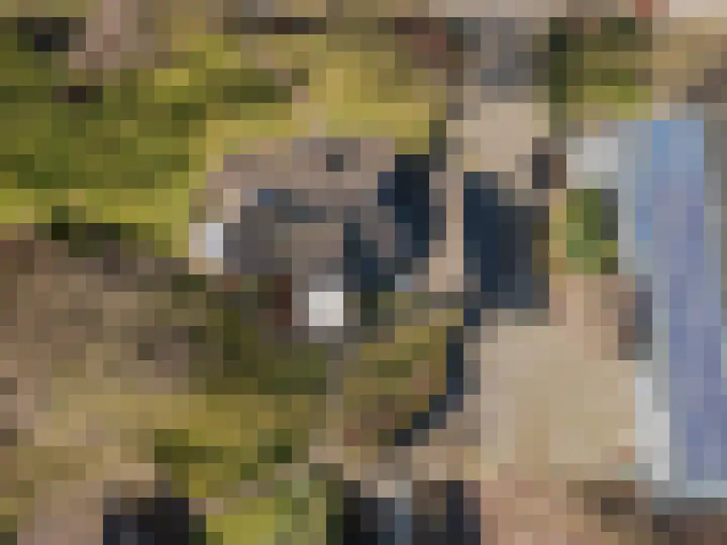 Veld-Oostenrijk 28 Horst thumbnail 92