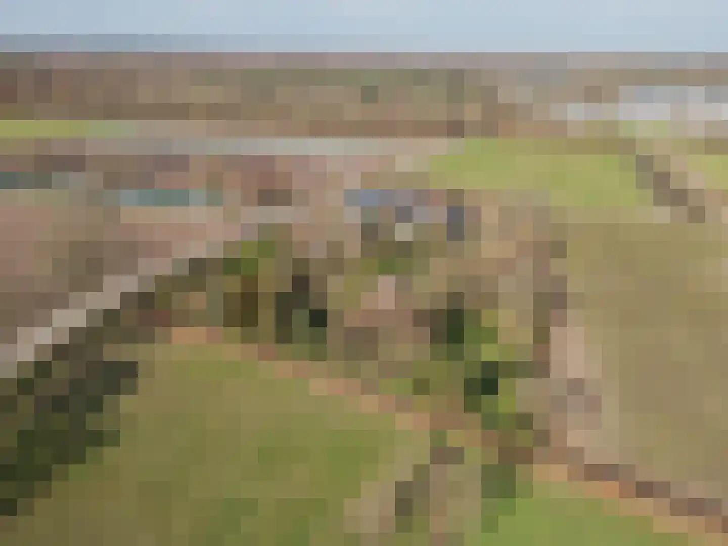 Veld-Oostenrijk 28 Horst thumbnail 93