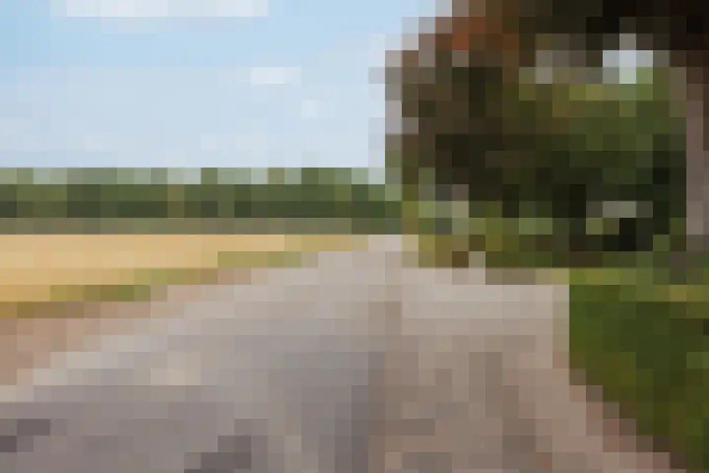 Veld-Oostenrijk 28 Horst thumbnail 93
