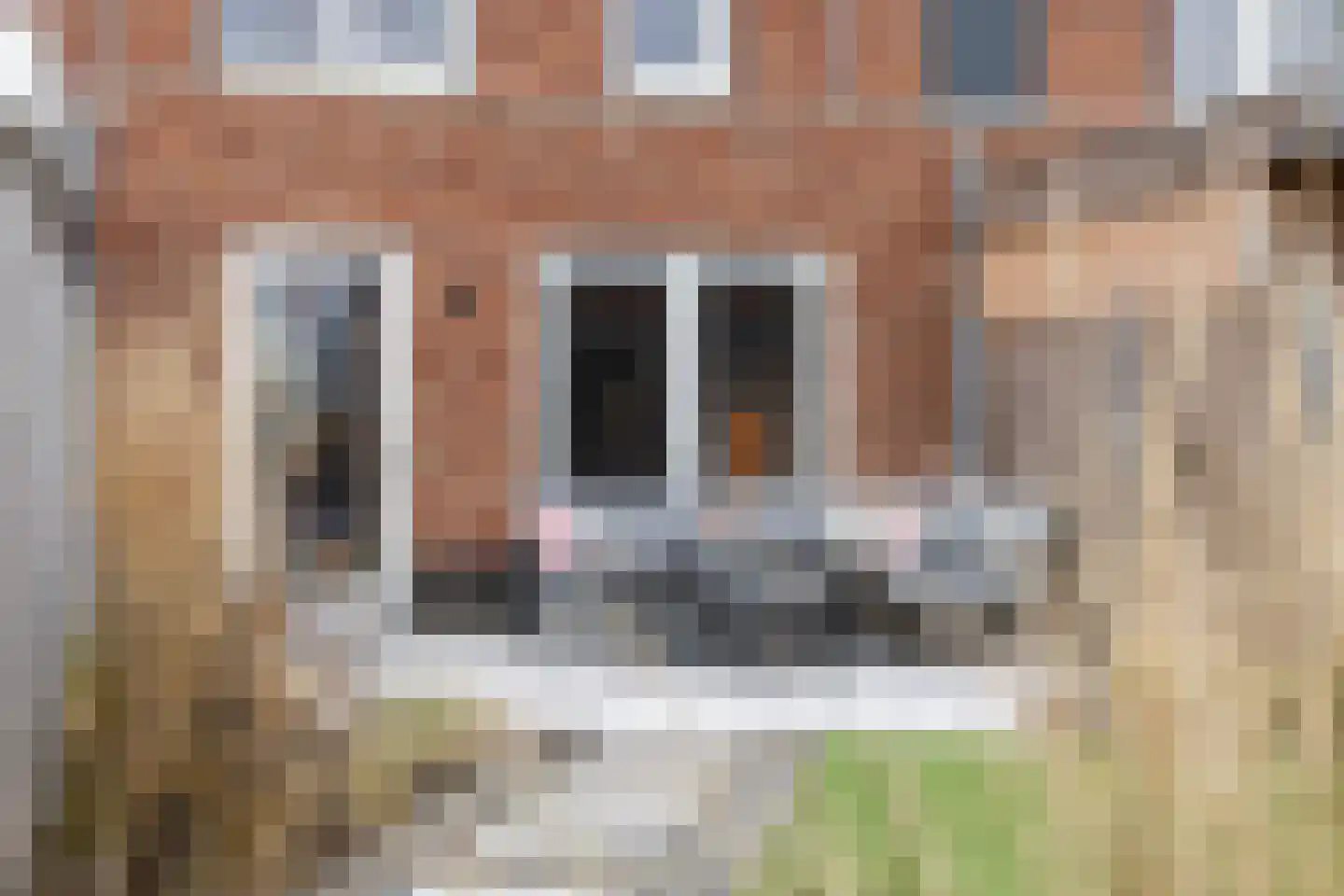Veldacker 30 Veldhoven thumbnail 26