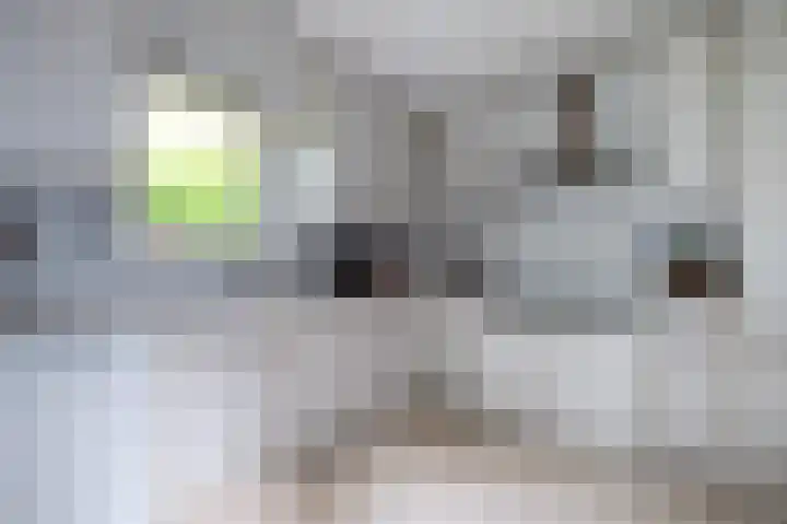 Veldakker 2 Beilen thumbnail 17