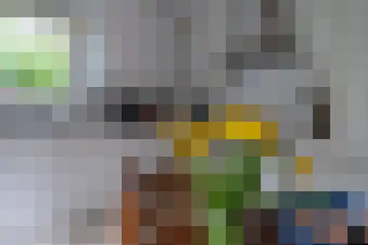 Veldakker 2 Beilen thumbnail 18