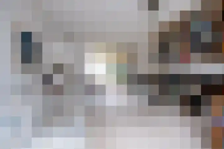 Veldakker 2 Beilen thumbnail 21