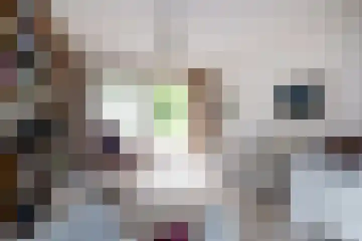 Veldakker 2 Beilen thumbnail 23