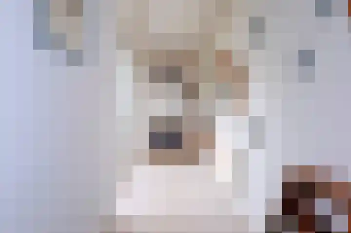 Veldakker 2 Beilen thumbnail 24