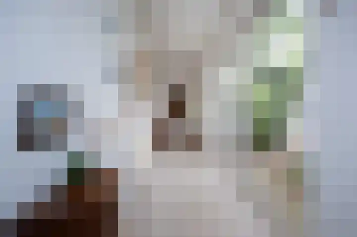 Veldakker 2 Beilen thumbnail 25