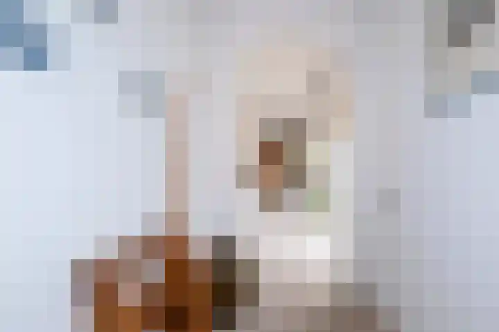 Veldakker 2 Beilen thumbnail 41