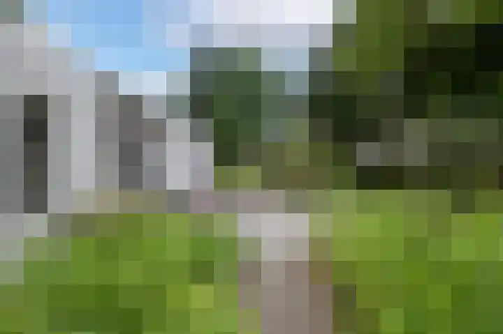 Veldakker 2 Beilen thumbnail 47