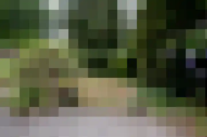 Veldakker 2 Beilen thumbnail 48