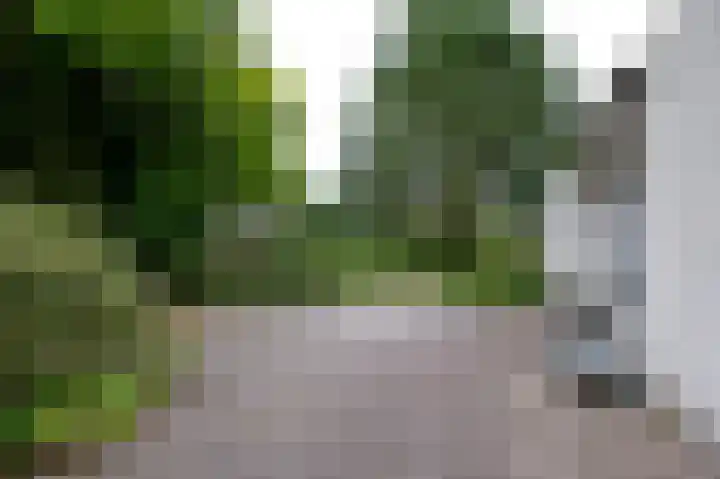Veldakker 2 Beilen thumbnail 51