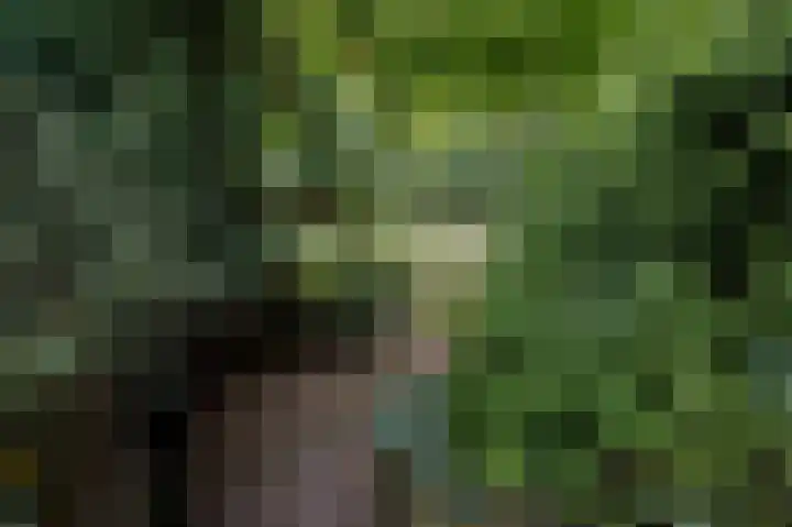 Veldakker 2 Beilen thumbnail 52