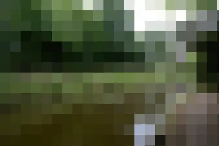 Veldakker 2 Beilen thumbnail 53