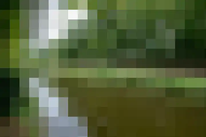 Veldakker 2 Beilen thumbnail 54